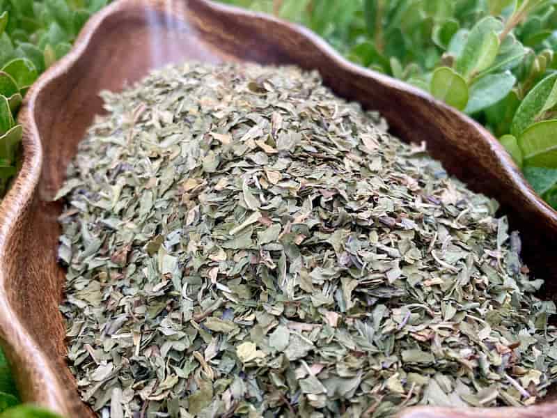 تصویر 2 از آویشن کوهی وحشی طلای سبز کوهستان